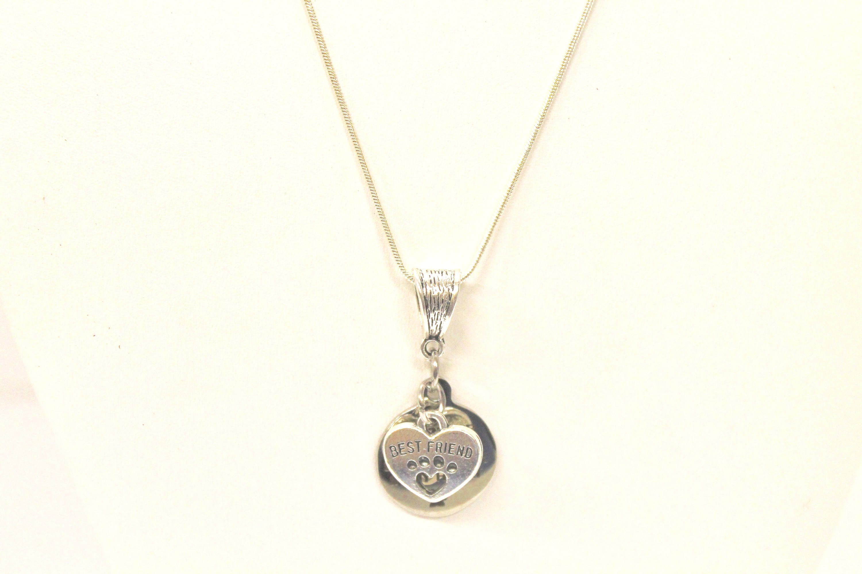 No Longer By My Side But Forever In My Heart Silver Necklace, Loved Pet Memorial Jewelry Gift For Her, Sympathy Pet Remembrance